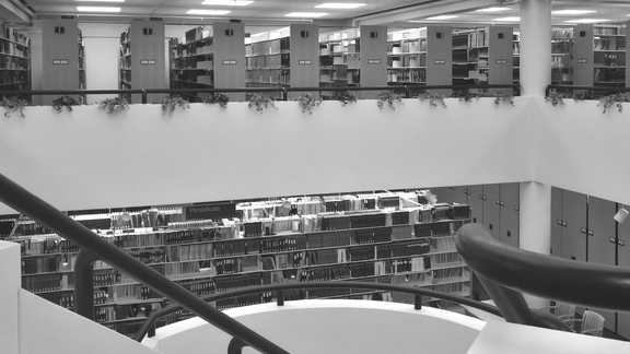 monochrome image of the annex of the library. photo taken from the staircase.