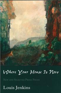 Where Your House is Now - book cover